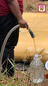 Persatuan Bulan Sabit Merah Malaysia Papar mengambil inisiatif memasang sistem penapisan air sementara untuk menapis air sungai menjadi air bersih bagi kegunaan penduduk daerah Papar yang berdepan masalah bekalan air bersih akibat kemarau. Berita penuh: https://www.bharian.com.my/berita/nasional/2024/03/1228901/kemarau-di-papar-sistem-penapisan-air-sementara-rawat-8000-liter-air | Berita Harian Online