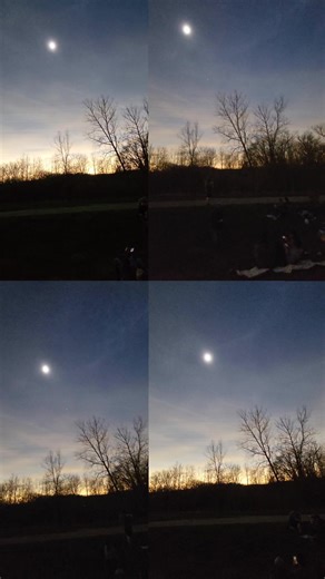 Tails Watches Total Solar Eclipse