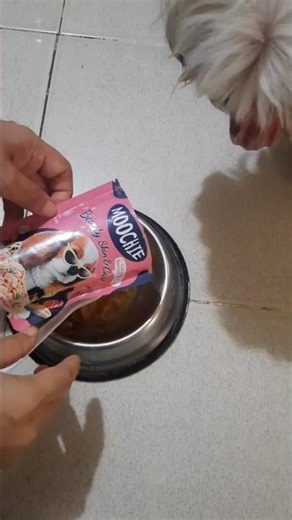 Make mealtime exciting with Moochie Wet Dog Food