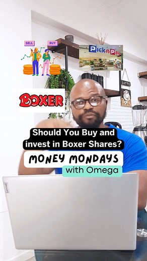 Boxer Shares Investment Guide: Pros and Cons