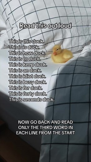 Send this to someone who likes to waste time #foryou #fyp #meme | duck