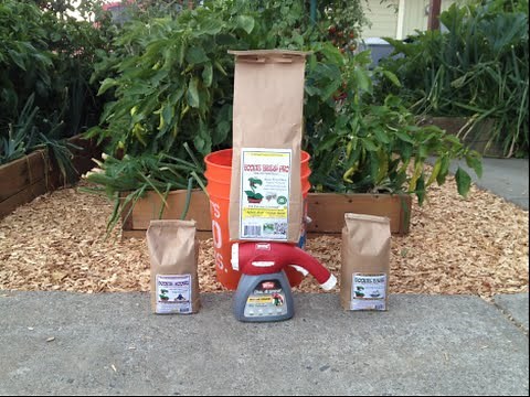 Pure Protein Test Part 7+How to apply Boogie Brew Pro Compost Tea