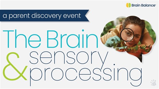 The Brain & Sensory Processing 4.25.24