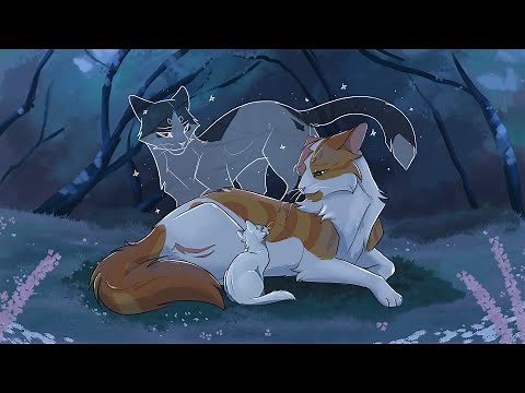 I WAS WRONG//Swiftpaw & Brightheart MAP(19/24 done)