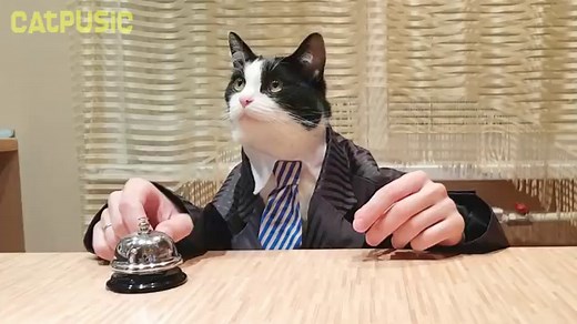 One Day in a Restaraunt...