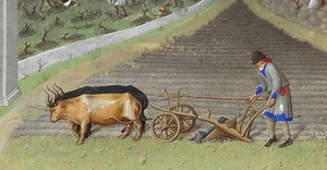 What secrets did a 9th-century peasant’s daily life hold?