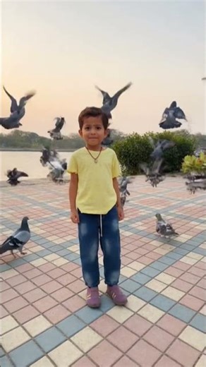 Baboo play with Birds #sorts #funny