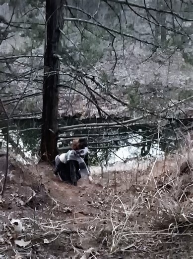 We will follow ~ 🪾 #therian #quadrobics #fypシviral #fyp #alterhuman