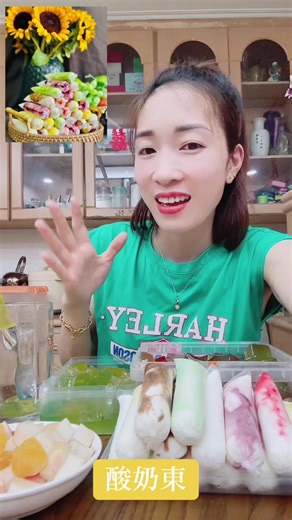 越南酸奶制作与口味分享