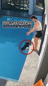 This dog accidentally falls into the pool… twice and obviously doesn’t know how to swim.⁣ ⁣ Thankfully, the owners stayed calm and helped the dog out both times without panicking.⁣ ⁣ But here’s the bigger point:⁣ ⁣ If your dog lives around water whether its a pool, a lake, or the ocean, consider getting swimming lessons just like you would with a child.⁣ ⁣ While many dogs will nature try to swim or stay afloat if they fall in to water, not all of them will be naturally good swimmers without prac