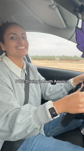 Cindy Seni on Instagram: "Driving in Israel Vs. North America . . . #israel #aliyah #isrealiculture"