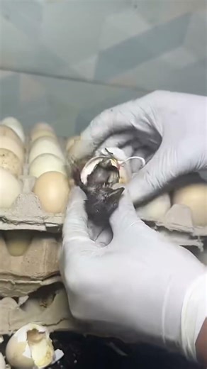 amazing creations| | #inspiration #god #wonderful #hearttouching