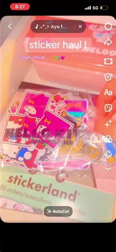 New sticker haul 🩷🌱