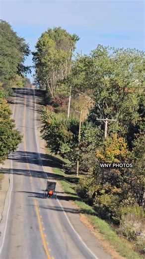Amish Living in Conewango Valley, New York It is interesting how the dog runs along side of the one Amish made wagon. I wonder how many steps that dog gets daily. Lol It is always awesome seeing the horse and buggies going down the road in the country. You can hear the horses coming down the road from their horseshoes hitting the ground. #amishcountry #amishlife #amish #amishbuilt #horseandbuggy #horseanddog #amishdog #conewango #conewangovalley #chautauquacounty | WNY Photos