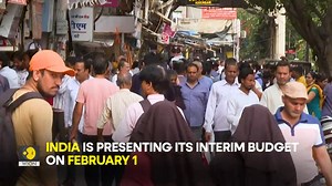 What is an interim budget and how it is different from the union budget? #WIONOriginals #Budget2024 #IndiaBudget2024 | WION