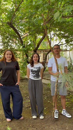 Official Stick Reviews on Instagram: "Impressive Stick Choreography. We love that you all keep sticking together and sticking with us. 🪵 ❤️"