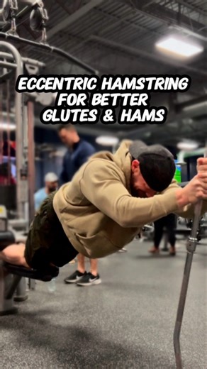 Eccentric hamstring curls
