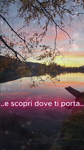 Quiete e Ispirazione: Musica Soft Sottofondo (Perfetta per Studio/Lavoro) ✨ #musica