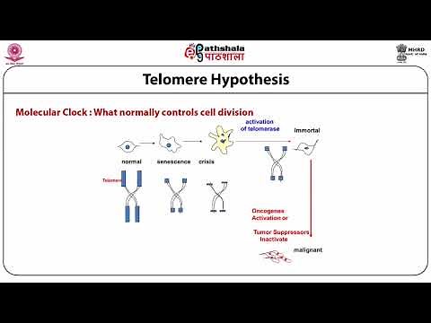 Basics of mammalian cell culture techniques