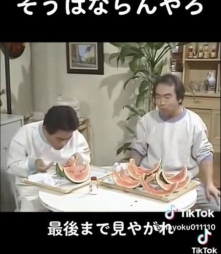 加トちゃんケンちゃんごきげんテレビの魅力