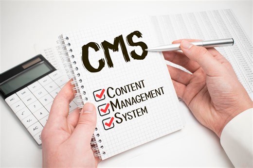 Los 10 mejores CMS (sistemas de gestión de contenidos) de vídeo en 2022