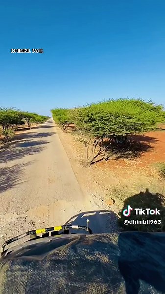 ‏NAF GOAYSA AWGAAA 🫡🫡#dhimbil96 #goohar37