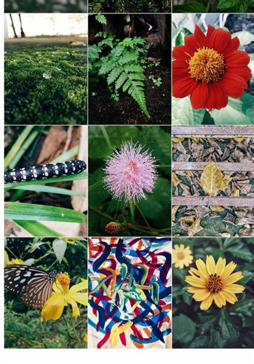 heo.caoco trên TikTok