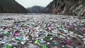 Scientists Find Fungi Capable of Living on Plastic—and Breaking It Down