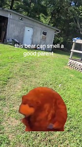 Bear Sniffs Out Good Parents | Cute Animal Clip