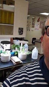 Taking your midterm test PB2 online #science