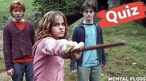 Quiz: Which 'Harry Potter' Character Are You?