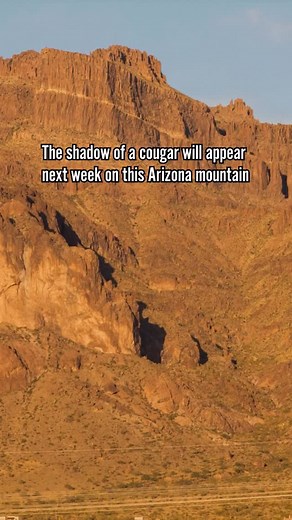 Who’s ready for this rare natural phenomenon? 😮🏜️ The shadow of a cougar chasing its prey can be seen only twice a year at the Superstition Mountains in Apache Junction, AZ. It happens at sunset during the third week of March and September—and it lasts just a few seconds! #news #viral #photography #arizonasbest | Welcome to Arizona