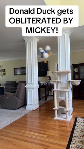 Mickey Mouse vs Donald Duck: Animated Showdown