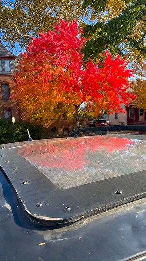 You gotta be kidding me with these breathtaking fall colors in Columbus, Ohio #nature | Reed Timmer Extreme Meteorologist
