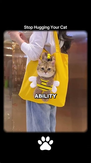 This is why you should't hug your cat...🐈❤️ #catshorts #cat #catvideos