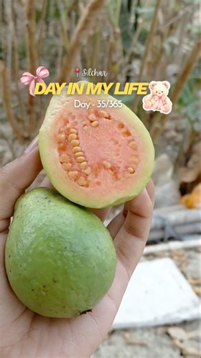 A day in my life 35/365 #shorts #viral #trending #trendingshorts #shortsfeed #silchar #minivlog