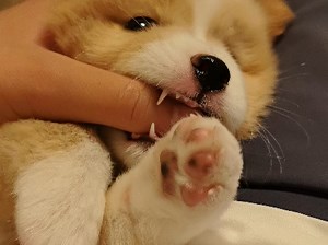 【FBITDES】最新视频来袭，快来看看吧！