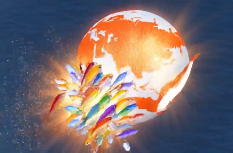#seafoodsustainability #wholefish #fishbyproducts #circularblueeconomy #chefwisdom #sellfishglobal #sustainableseafood #seafoodwaste #zerowaste #blueeconomy #fishstock #nosetotail #seafoodinnovation… | Stephen Nicholson