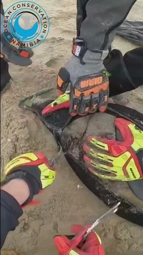 Rescuer gets wet during rescue 💧