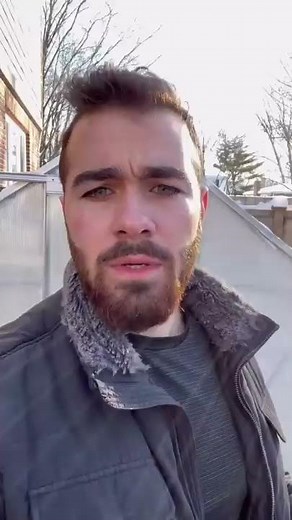 The goldfish are frozen in