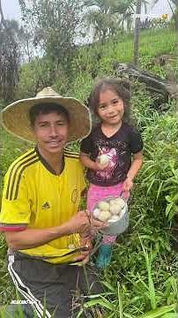 La vida de rancho🥰#rancho #pueblo #amor #campesino #agricultor #fe #vida #ganado #maiz #reflexiones