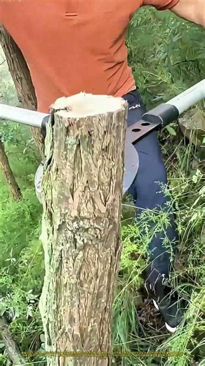 木を切る男：鋏と力の伝統