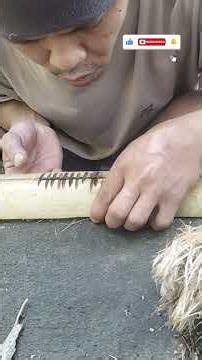 "Hand Drill Friction Fire Tutorial: Rub Bamboo to make Fire i 1.52 second🔥 #survival #diy