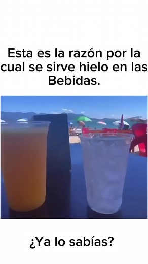 MAPV Consultores Gastronomicos on TikTok