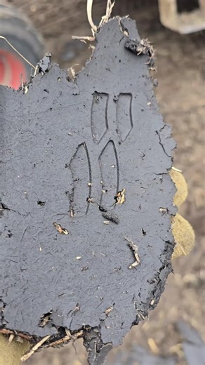 Creative Clay Designs for Pottery Enthusiasts