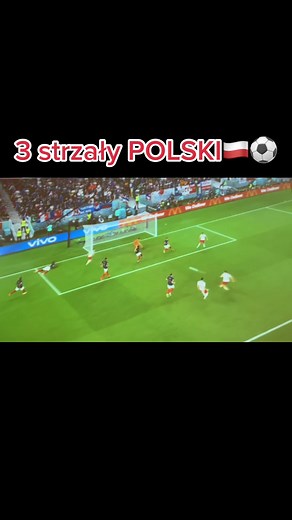 @MariannaSchreiber on TikTok