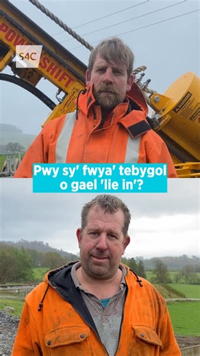 Dewch i adnabod y brodyr Oswyn a Gwynant, cymeriadau Cefn Gwlad heno ‘ma! 👷Cefn Gwlad: Oswyn a Gwynant Contractwyr Cerddorol 📺 HENO | 21:00 | Cefn Gwlad
