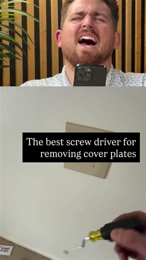 Brought a tool to unscrew a light switch… and then immediately choose violence instead.