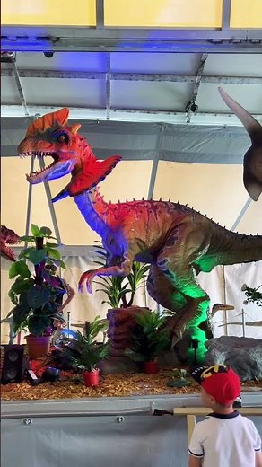 #dino #dinosours #reutlingen
