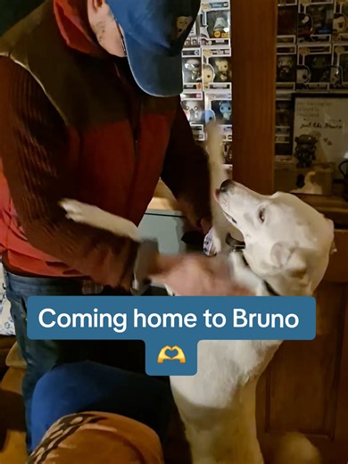 Coming Home to Our Deaf Rescue Dog Bruno 🫶